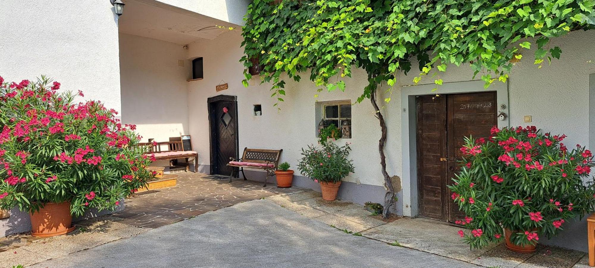Ana Antloga Apartments Bled Eksteriør billede
